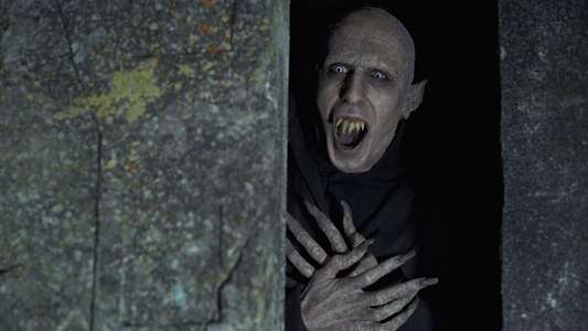 What We Do in the Shadows - Backdrop