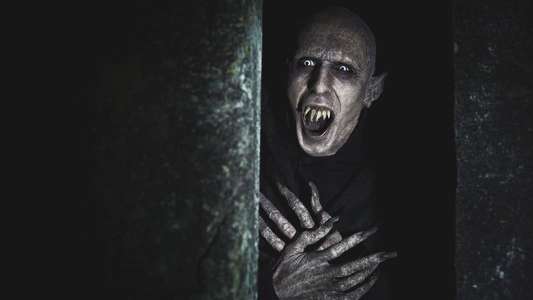 What We Do in the Shadows - Backdrop