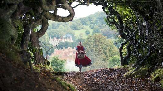 Into the Woods - Backdrops