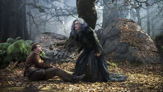 Into the Woods - Backdrops
