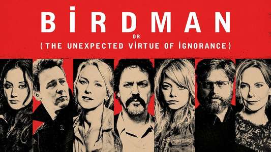Birdman - Backdrop