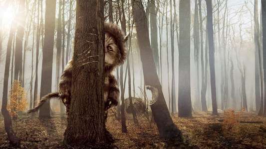 Where the Wild Things Are - Backdrop