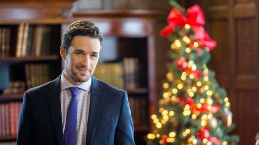 A Rose for Christmas - Backdrop