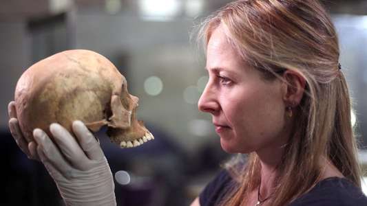 The Greatest Tomb on Earth: Secrets of Ancient China - Backdrop