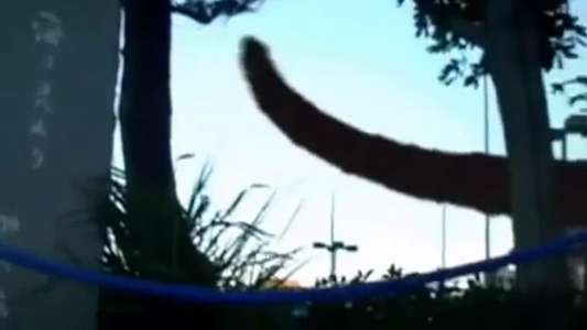 Monster - Backdrops