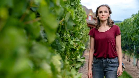 Autumn in the Vineyard - Backdrop