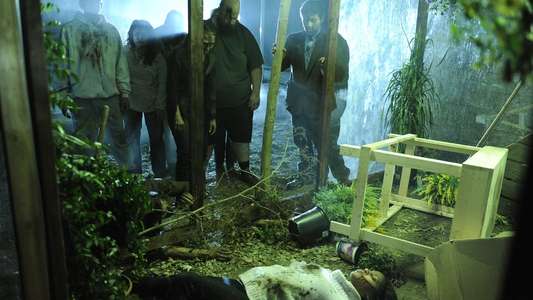 Zombie Night - Backdrops