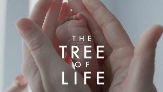 The Tree of Life - Backdrop