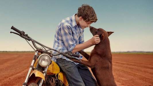 Red Dog: True Blue - Backdrop