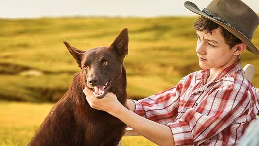 Red Dog: True Blue - Backdrop