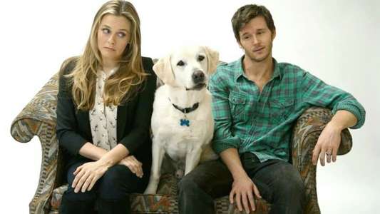 Who Gets the Dog? - Backdrop