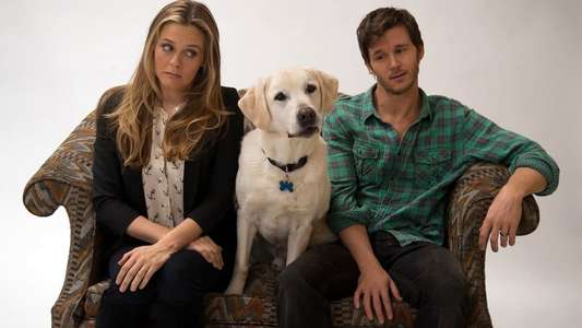 Who Gets the Dog? - Backdrop