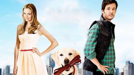Who Gets the Dog? - Backdrop