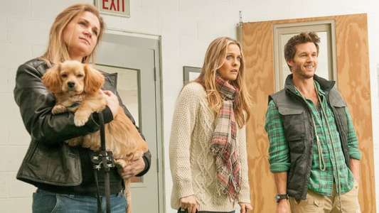 Who Gets the Dog? - Backdrop