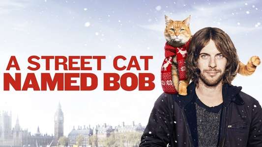 A Street Cat Named Bob - Backdrop