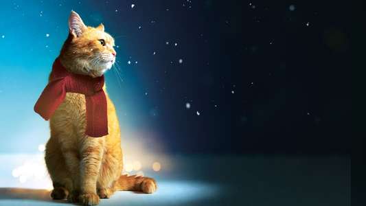 A Street Cat Named Bob - Backdrop