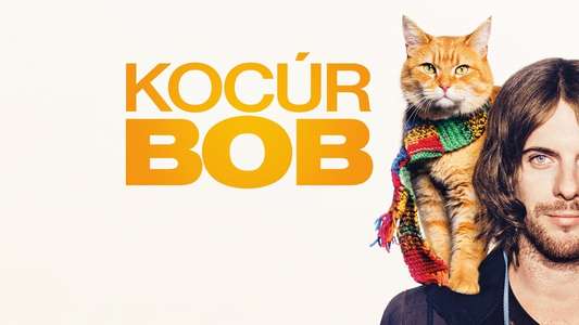 A Street Cat Named Bob - Backdrop