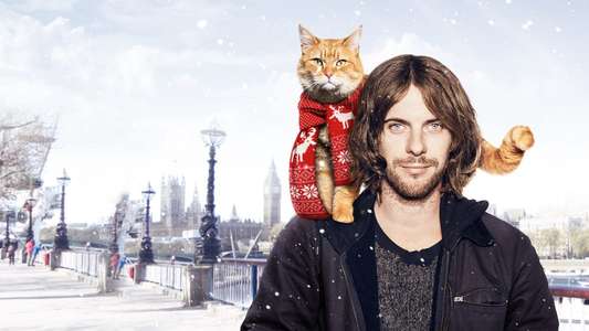A Street Cat Named Bob - Backdrop