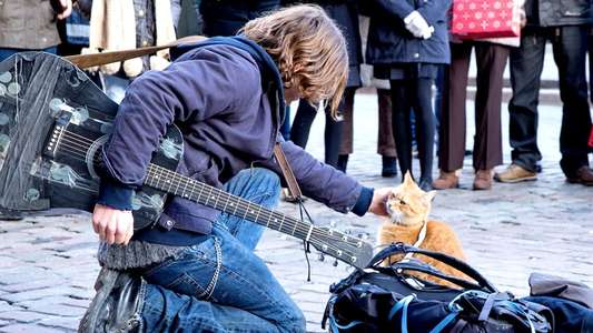 A Street Cat Named Bob - Backdrop