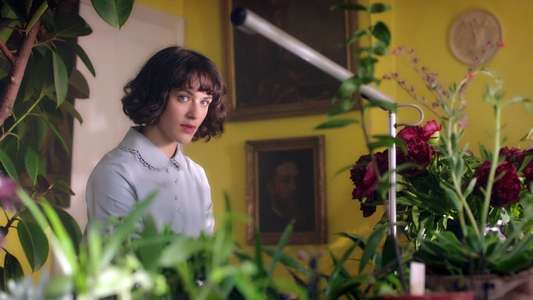 This Beautiful Fantastic - Backdrop