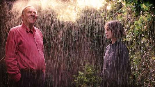 This Beautiful Fantastic - Backdrop