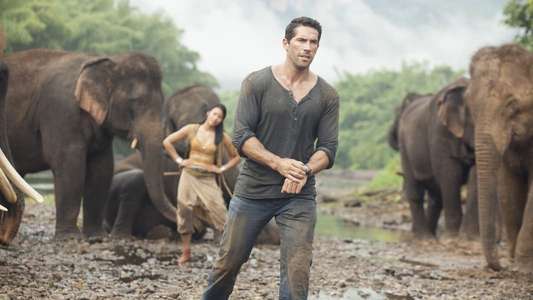 Hard Target 2 - Backdrop