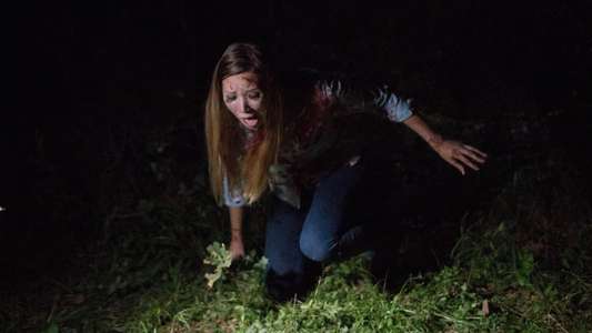 Found Footage 3D - Backdrop