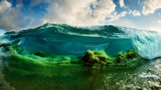 Shorebreak: The Clark Little Story - Backdrop