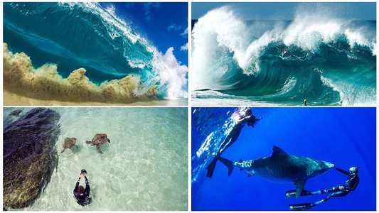 Shorebreak: The Clark Little Story - Backdrop
