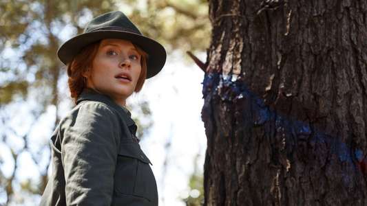 Pete's Dragon - Backdrops
