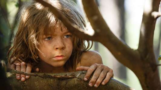 Pete's Dragon - Backdrops