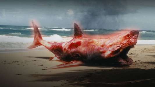 Atomic Shark - Backdrop