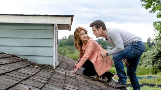 The Julius House: An Aurora Teagarden Mystery - Backdrop