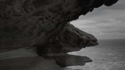 Observance - Backdrop