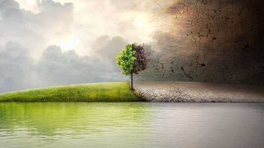 Before the Flood - Backdrops