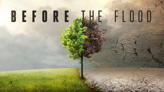 Before the Flood - Backdrops