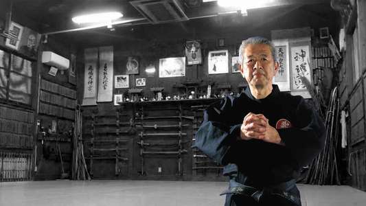 Masaaki Hatsumi : Living Ninja Legend - Backdrops
