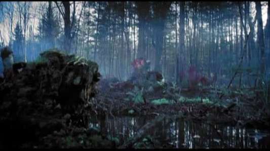 The Marsh - Backdrop