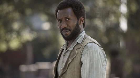 Free State of Jones - Backdrop