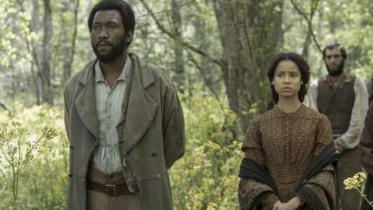 Free State of Jones - Backdrop