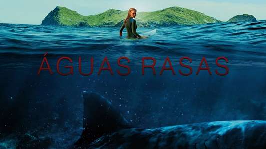 The Shallows - Backdrop