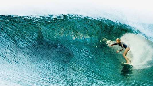 The Shallows - Backdrop