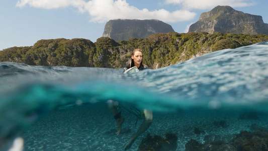 The Shallows - Backdrop