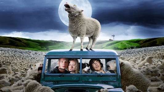 Black Sheep - Backdrop