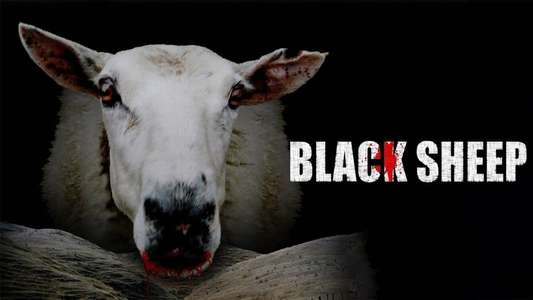 Black Sheep - Backdrop