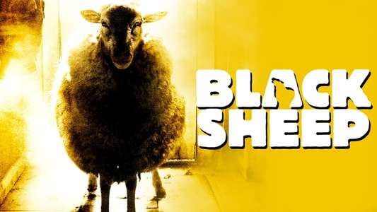 Black Sheep - Backdrop