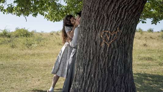 The History of Love - Backdrop