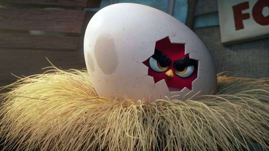 The Angry Birds Movie - Backdrop