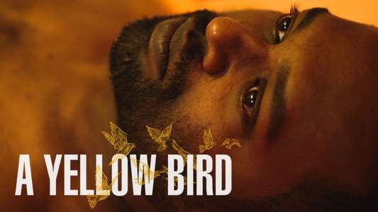 A Yellow Bird - Backdrop