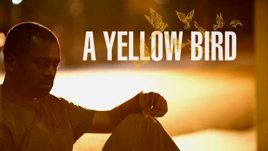 A Yellow Bird - Backdrop